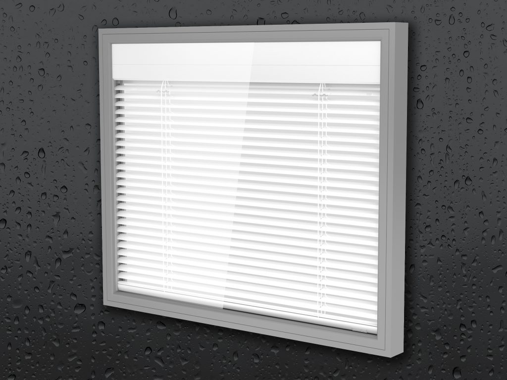 Foto_roosters-1024x768 Vacuüm glas